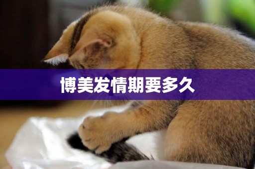博美發情期要多久