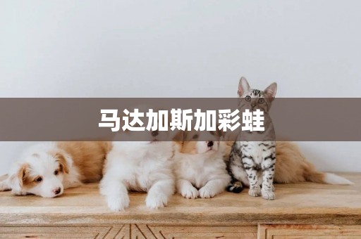馬達加斯加彩蛙