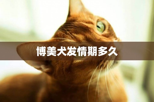 博美犬發情期多久