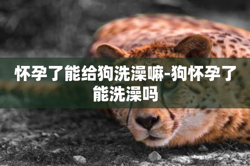 懷孕了能給狗洗澡嘛-狗懷孕了能洗澡嗎