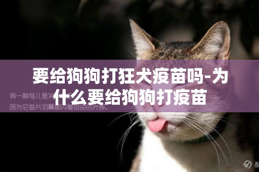 要給狗狗打狂犬疫苗嗎-為什么要給狗狗打疫苗