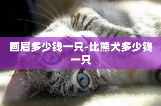 畫眉多少錢一只-比熊犬多少錢一只