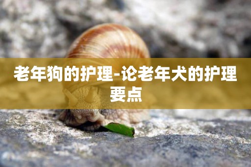 老年狗的護理-論老年犬的護理要點