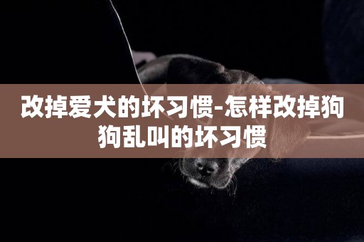 改掉愛犬的壞習慣-怎樣改掉狗狗亂叫的壞習慣