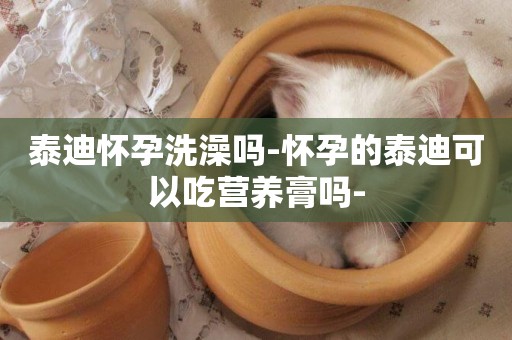 泰迪懷孕洗澡嗎-懷孕的泰迪可以吃營養膏嗎-