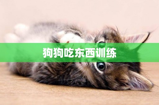 狗狗吃東西訓練