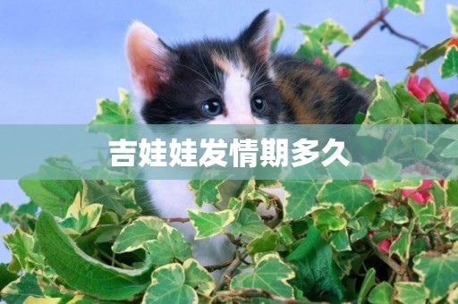 吉娃娃發情期多久