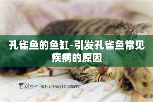 孔雀魚的魚缸-引發孔雀魚常見疾病的原因