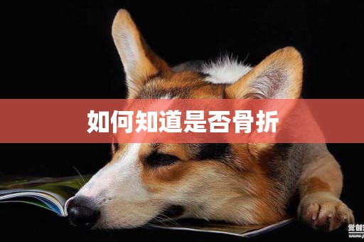 如何知道是否骨折