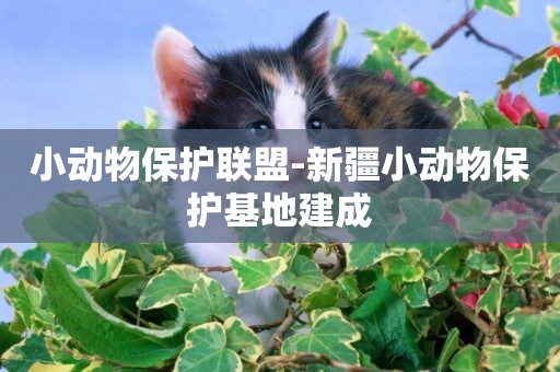 小動物保護聯盟-新疆小動物保護基地建成