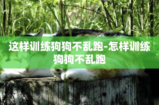 這樣訓練狗狗不亂跑-怎樣訓練狗狗不亂跑