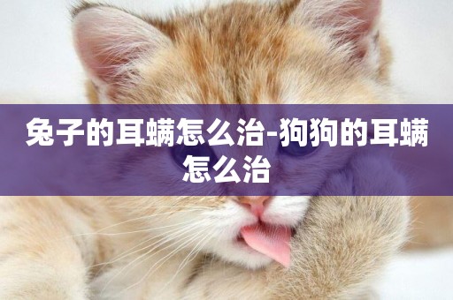 兔子的耳螨怎么治-狗狗的耳螨怎么治