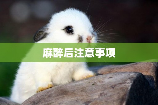 麻醉后注意事項