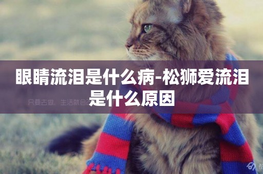 眼睛流淚是什么病-松獅愛流淚是什么原因