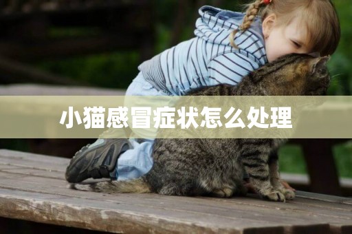 小貓感冒癥狀怎么處理