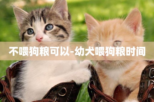 不喂狗糧可以-幼犬喂狗糧時間