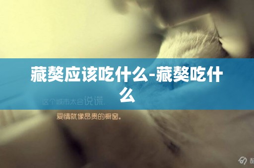 藏獒應該吃什么-藏獒吃什么