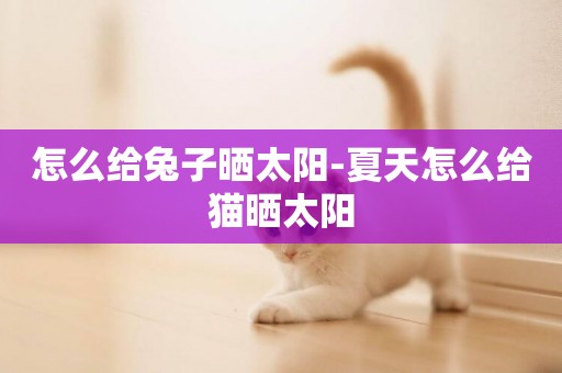 怎么給兔子曬太陽-夏天怎么給貓曬太陽