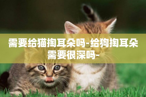 需要給貓掏耳朵嗎-給狗掏耳朵需要很深嗎-