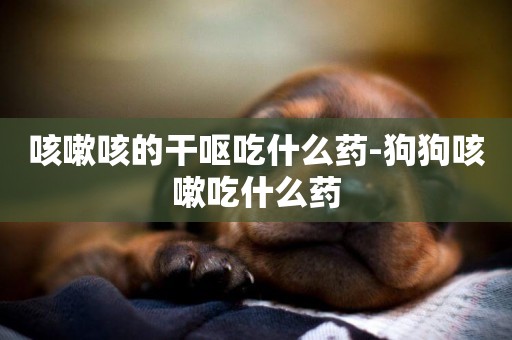 咳嗽咳的干嘔吃什么藥-狗狗咳嗽吃什么藥