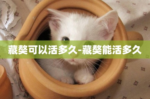 藏獒可以活多久-藏獒能活多久