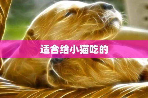 適合給小貓吃的