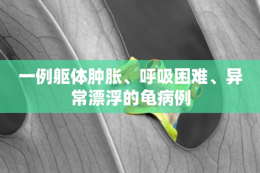 一例軀體腫脹、呼吸困難、異常漂浮的龜病例