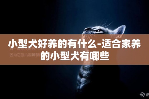 小型犬好養的有什么-適合家養的小型犬有哪些