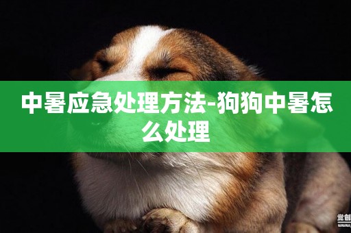 中暑應急處理方法-狗狗中暑怎么處理