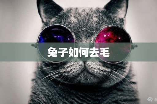 兔子如何去毛