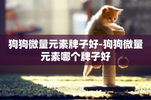 狗狗微量元素牌子好-狗狗微量元素哪個牌子好