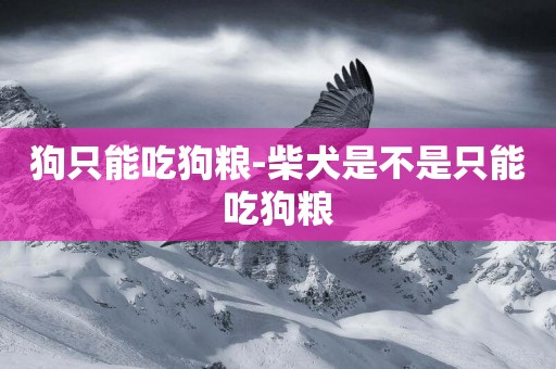 狗只能吃狗糧-柴犬是不是只能吃狗糧