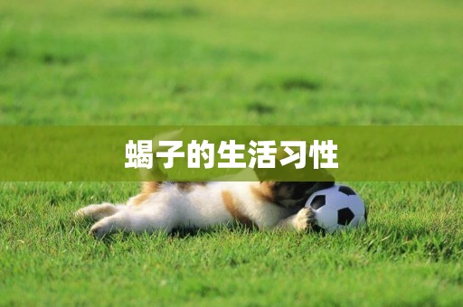 蝎子的生活習性