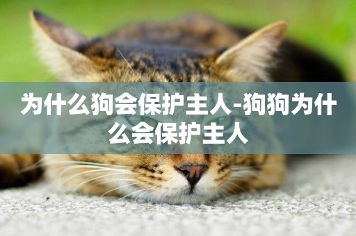 為什么狗會保護主人-狗狗為什么會保護主人