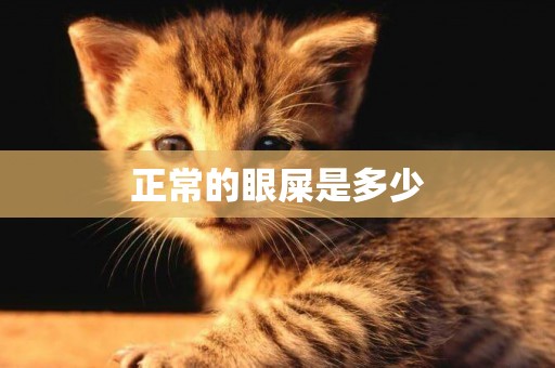 正常的眼屎是多少