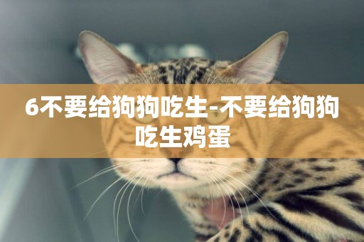6不要給狗狗吃生-不要給狗狗吃生雞蛋