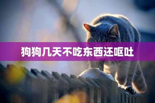狗狗幾天不吃東西還嘔吐