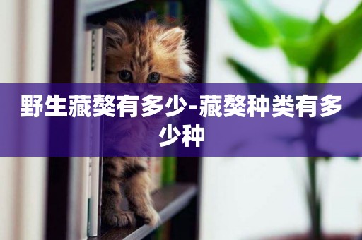 野生藏獒有多少-藏獒種類有多少種
