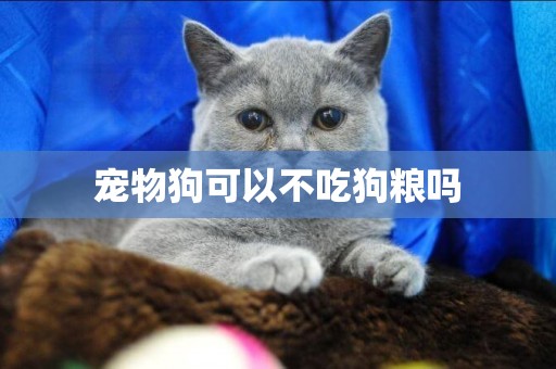 寵物狗可以不吃狗糧嗎