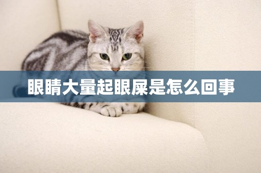 眼睛大量起眼屎是怎么回事
