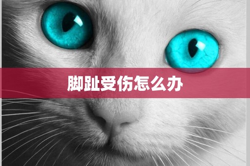 腳趾受傷怎么辦