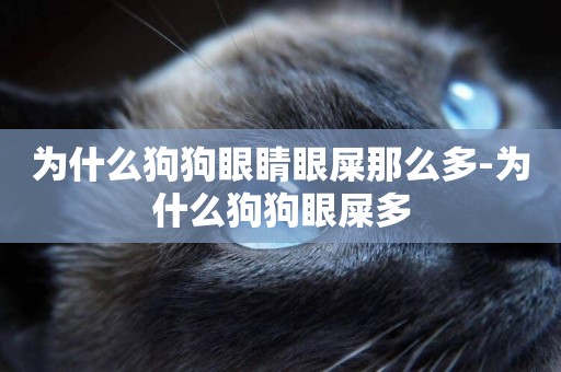 為什么狗狗眼睛眼屎那么多-為什么狗狗眼屎多
