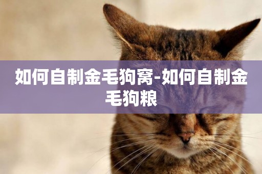 如何自制金毛狗窩-如何自制金毛狗糧