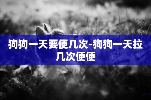 狗狗一天要便幾次-狗狗一天拉幾次便便