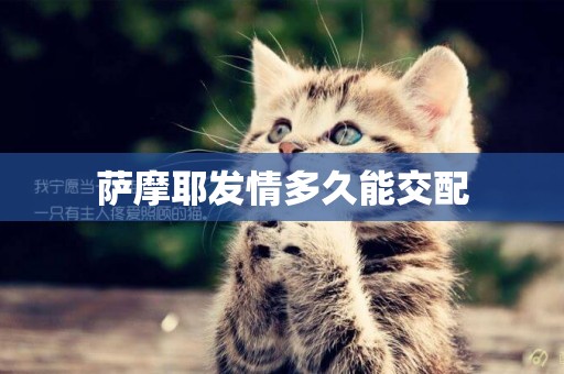 薩摩耶發情多久能交配