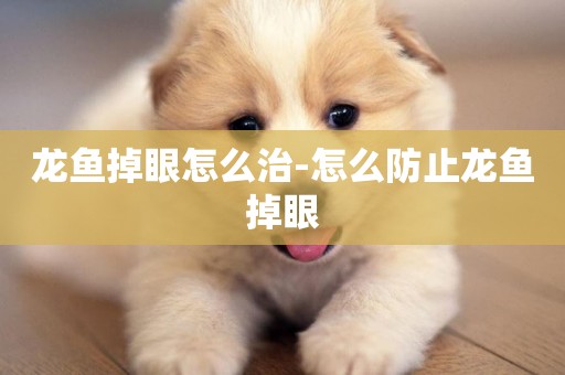 龍魚掉眼怎么治-怎么防止龍魚掉眼