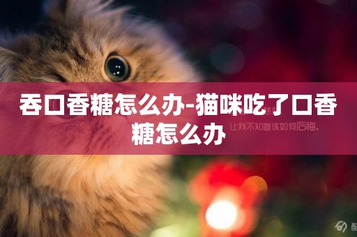 吞口香糖怎么辦-貓咪吃了口香糖怎么辦