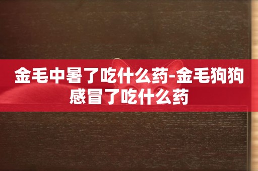 金毛中暑了吃什么藥-金毛狗狗感冒了吃什么藥