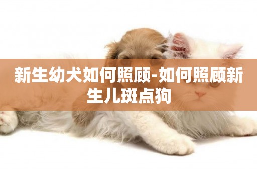 新生幼犬如何照顧-如何照顧新生兒斑點狗