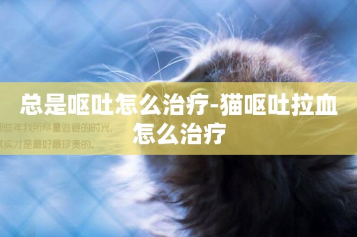 總是嘔吐怎么治療-貓嘔吐拉血怎么治療